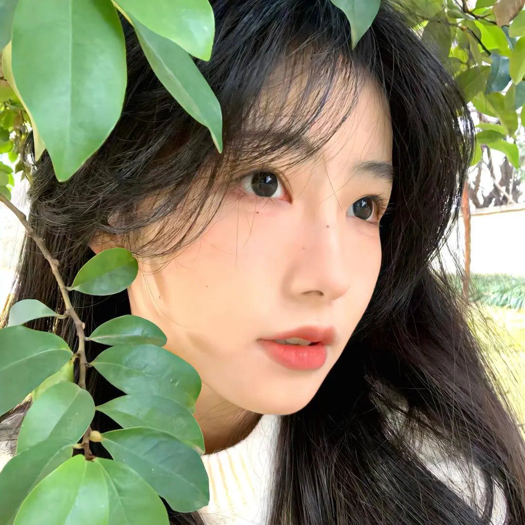 我们的歌第三季